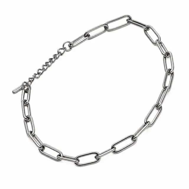 Luxe Link silver Chain